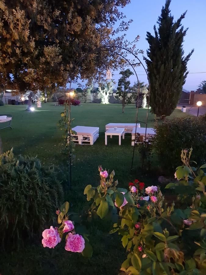 Elegance B&B Ladispoli Exterior foto